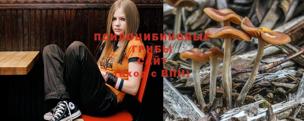 MDMA Premium VHQ Алексеевка
