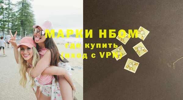 apvp Алзамай